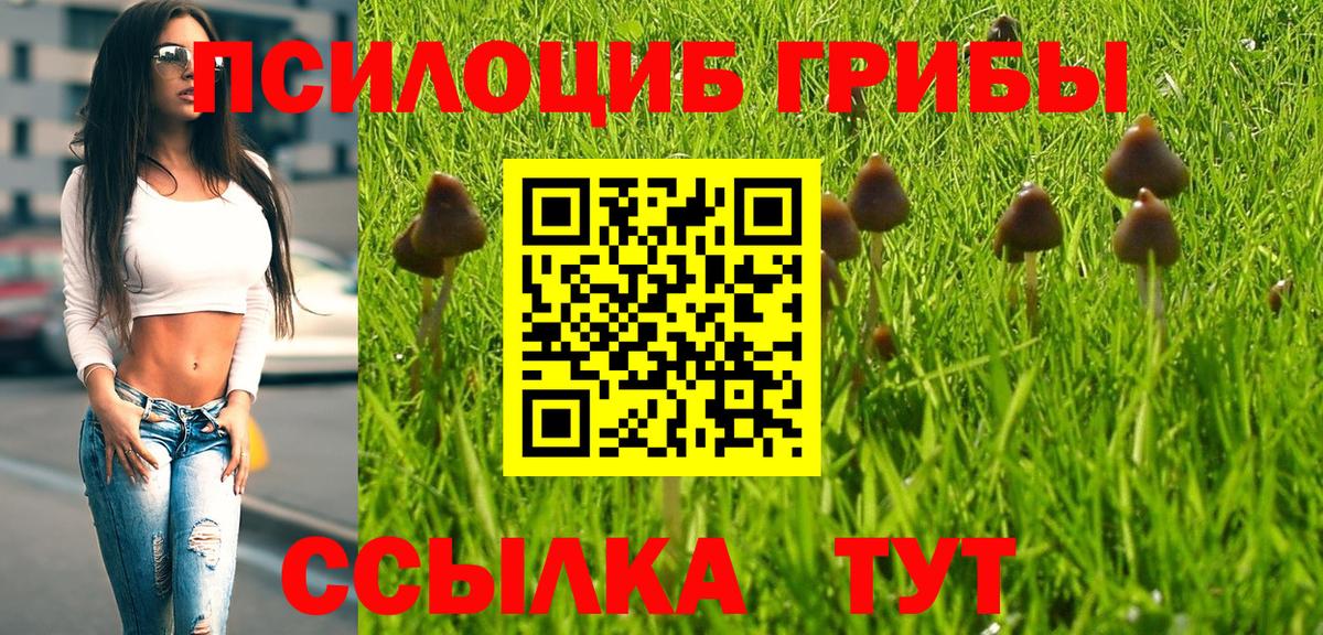 Галлюциногенные грибы Cubensis Клин
