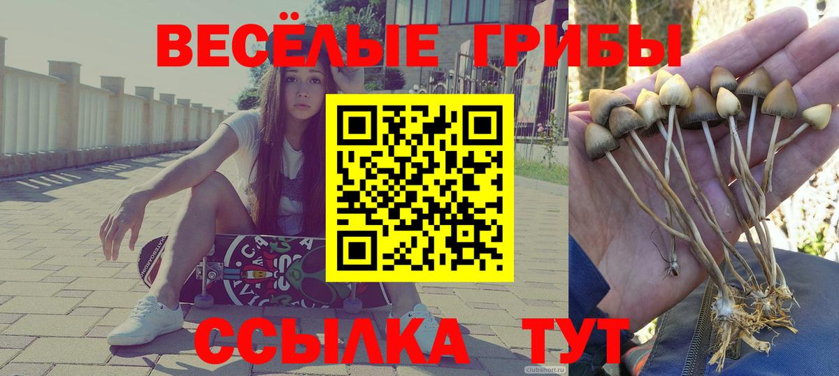 Галлюциногенные грибы ЛСД  хочу наркоту  Клин  Вход с VPN 