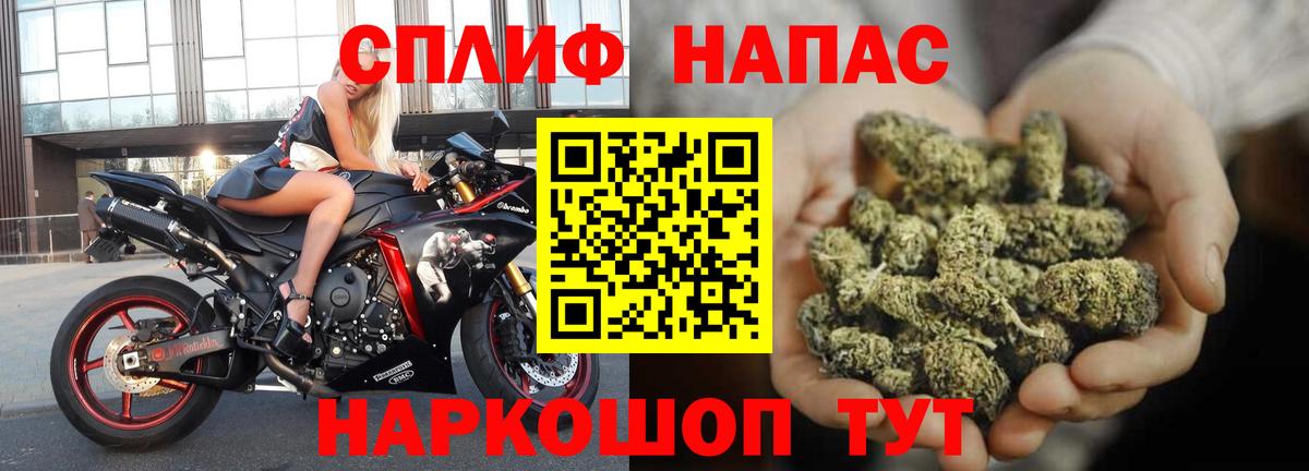 Канабис гибрид Клин